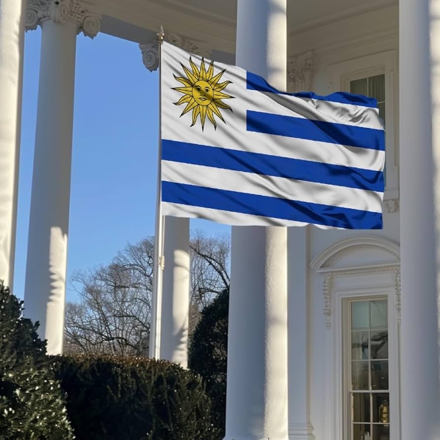 標本 Uruguay Thronistes rouxi 31mm 61+bihTy6-L._UF894,1000_QL80_.jpg